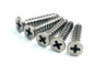 Shutter Hinge Screws